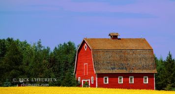 Red Barn